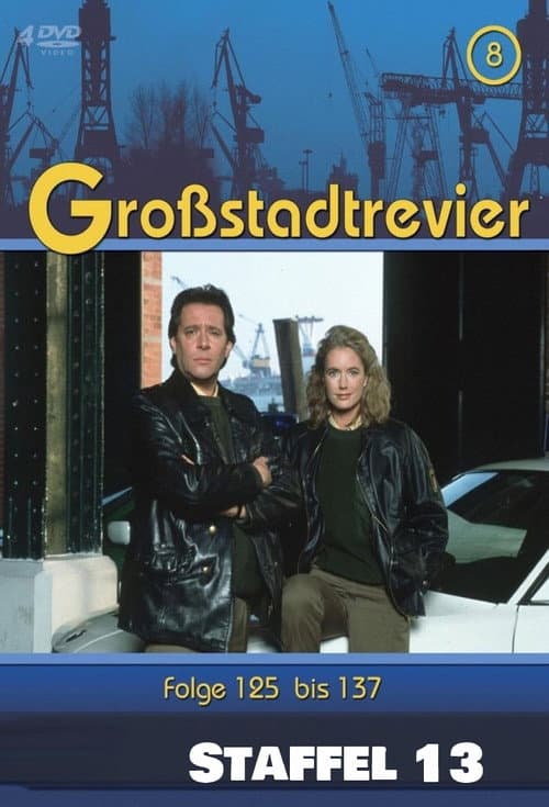Großstadtrevier Season 13 poster
