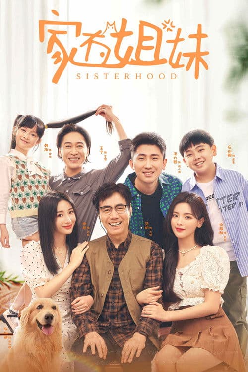 Sisterhood Season 1 poster