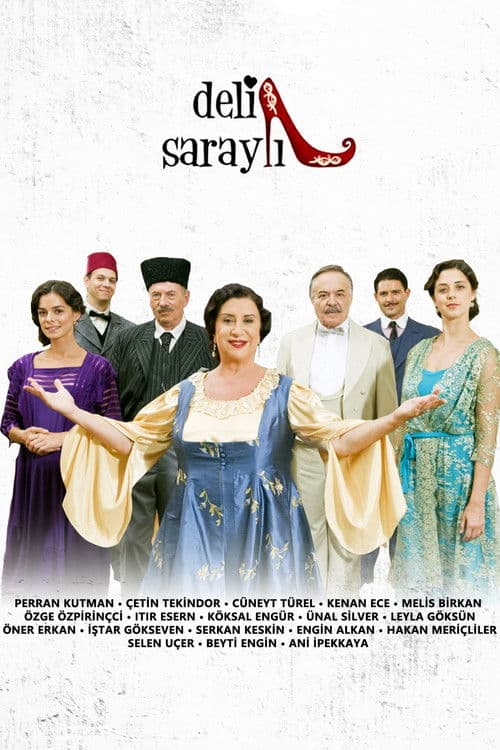 Deli Saraylı Season 1 poster