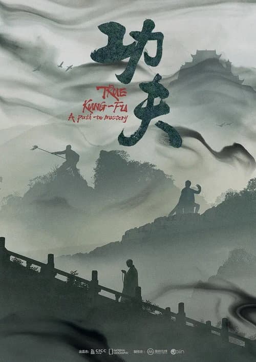 功夫 Season 1 poster