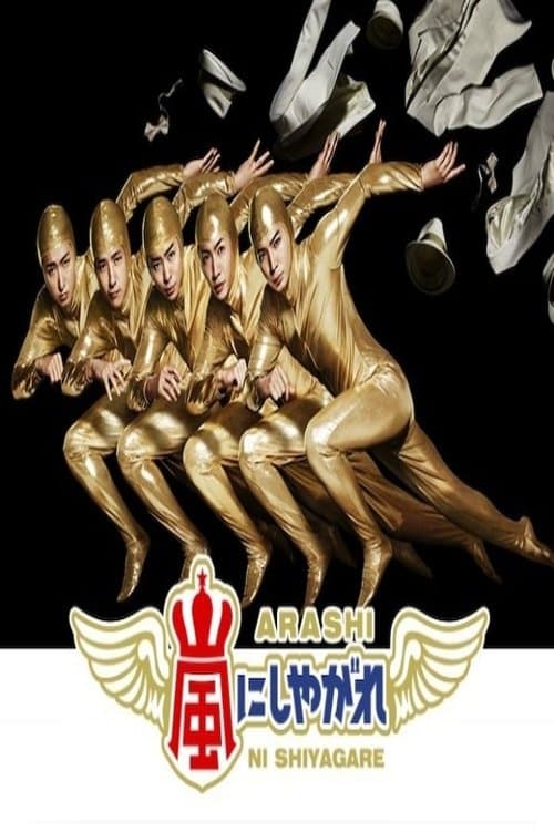 Arashi ni Shiyagare Season 2 poster