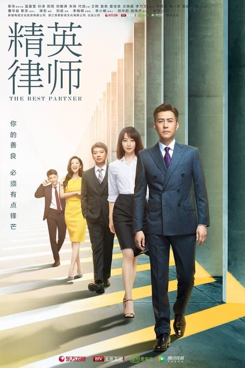 The Best Partner Season 1 poster