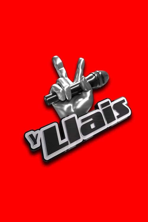 The Voice Season 2 poster