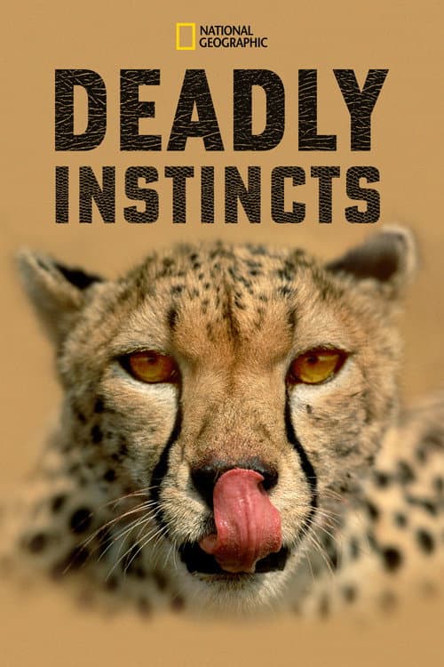 Deadly Instincts Season 1 poster
