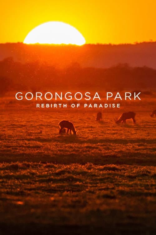 Gorongosa Park: Rebirth of Paradise Season 1 poster