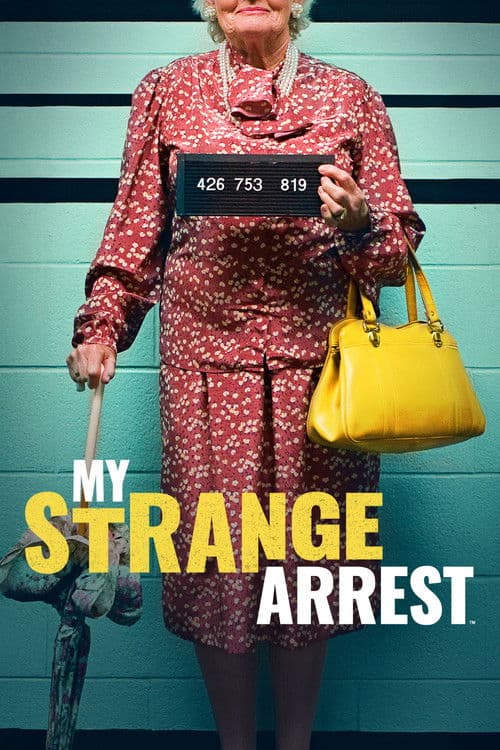 My Strange Arrest Season 2 poster