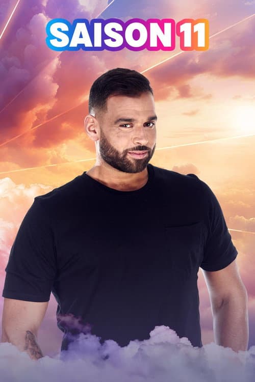 Secret Story Season 11 poster