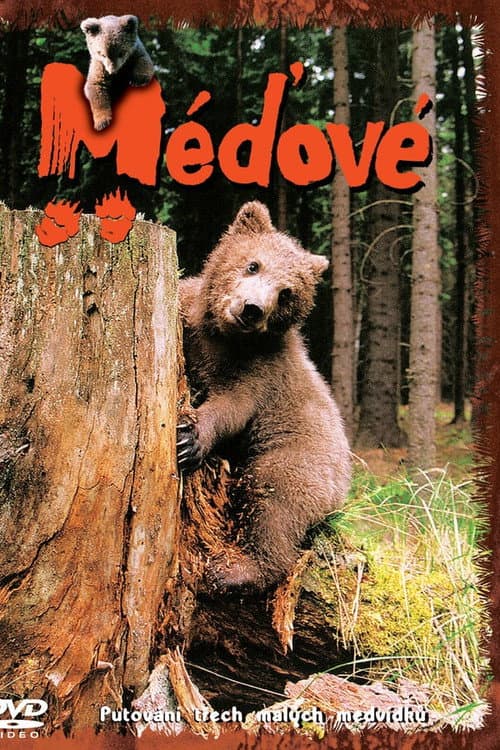 Méďové Season 1 poster