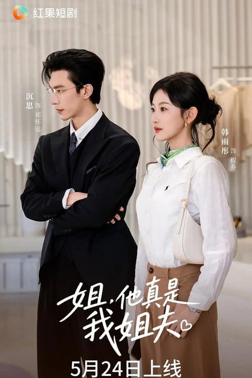 姐，他真是我姐夫 Season 1 poster