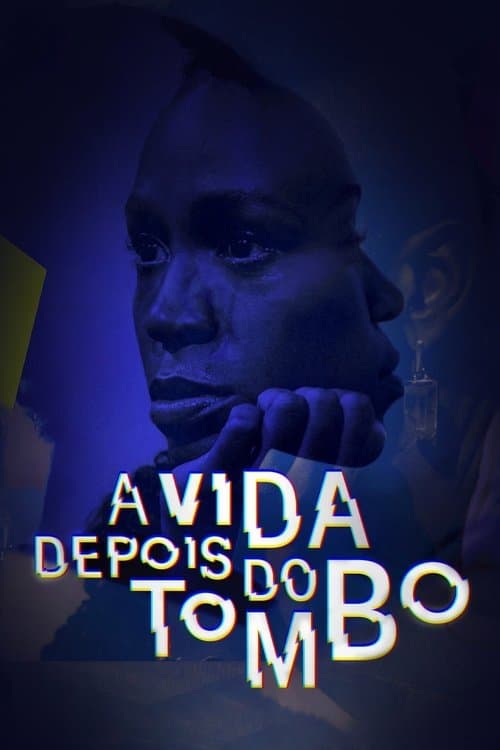 A Vida Depois do Tombo Season 1 poster