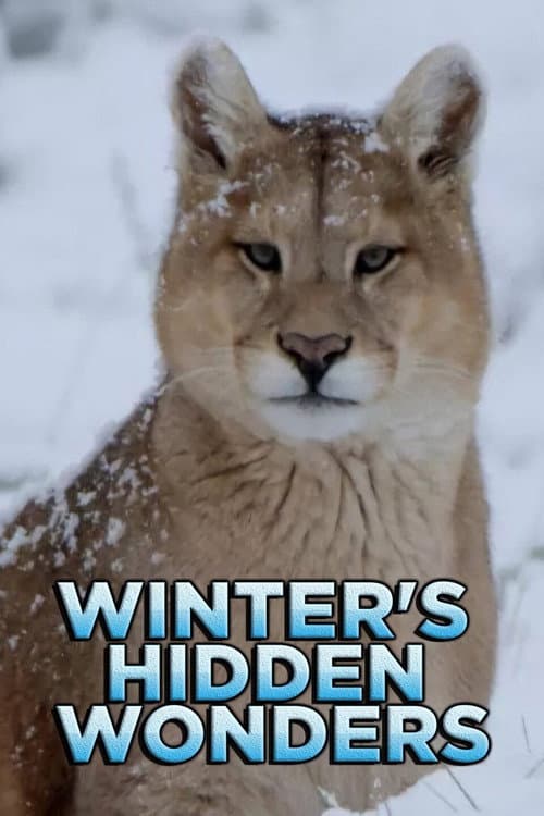 Winter's Hidden Wonders Season 1 poster