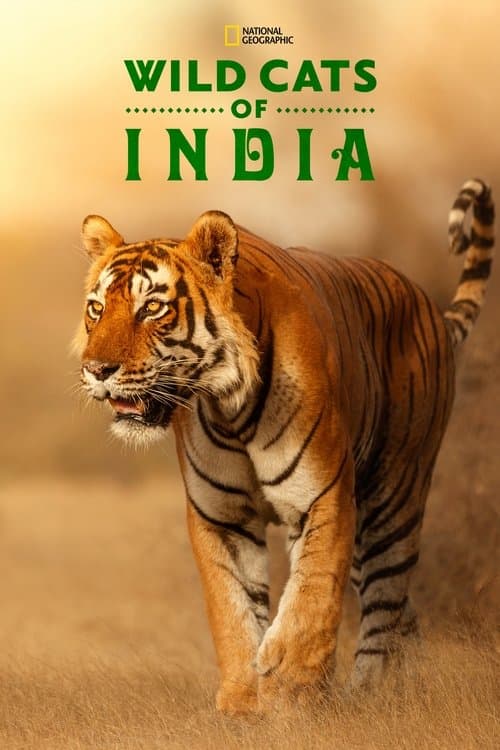 Wild Cats of India Season 1 poster