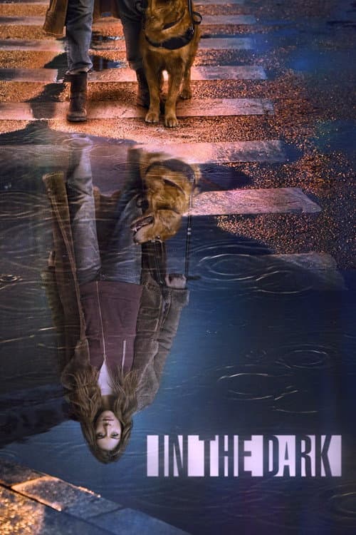 In the Dark Season 2 poster