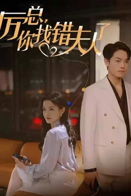 Mr. Li, You Have Found the Wrong Lady Season 1 poster