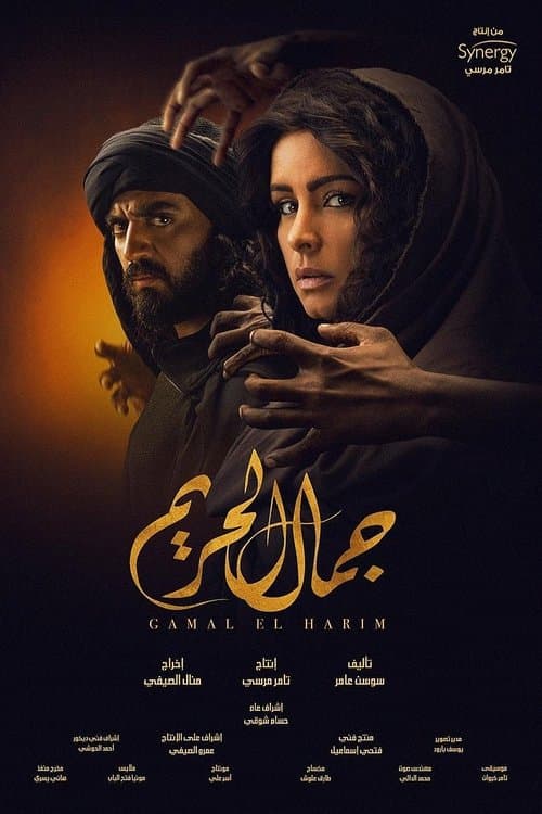 Gamal El Hareem Season 1 poster