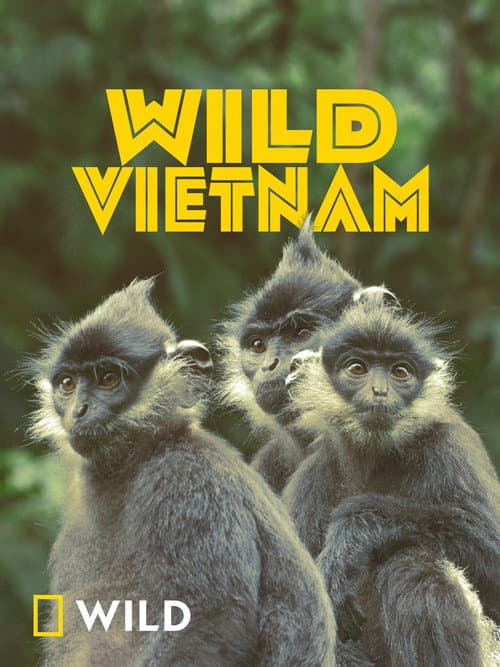 Wild Vietnam Season 1 poster
