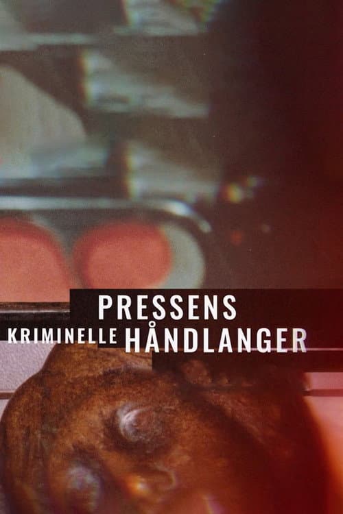 Pressens kriminelle håndlanger Season 1 poster
