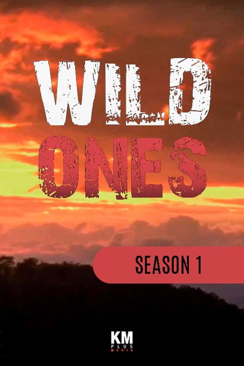 Wild Ones Season 1 poster