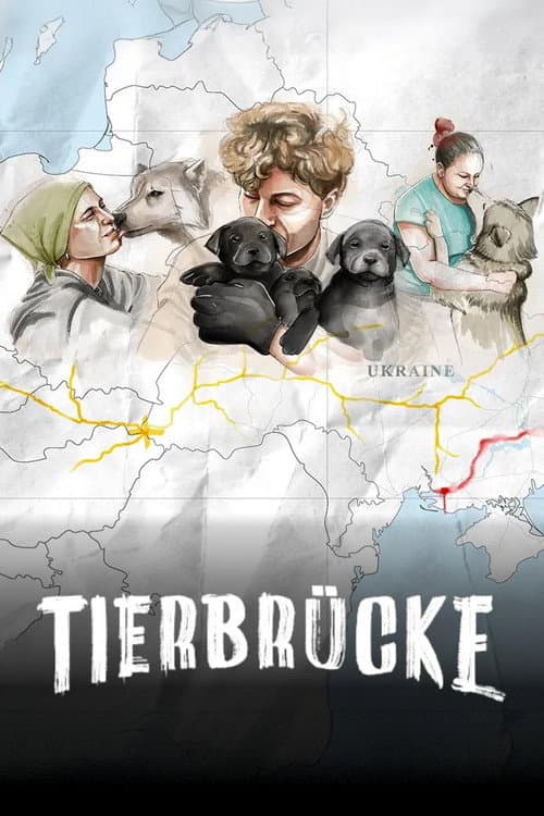 Die Tierbrücke Season 1 poster