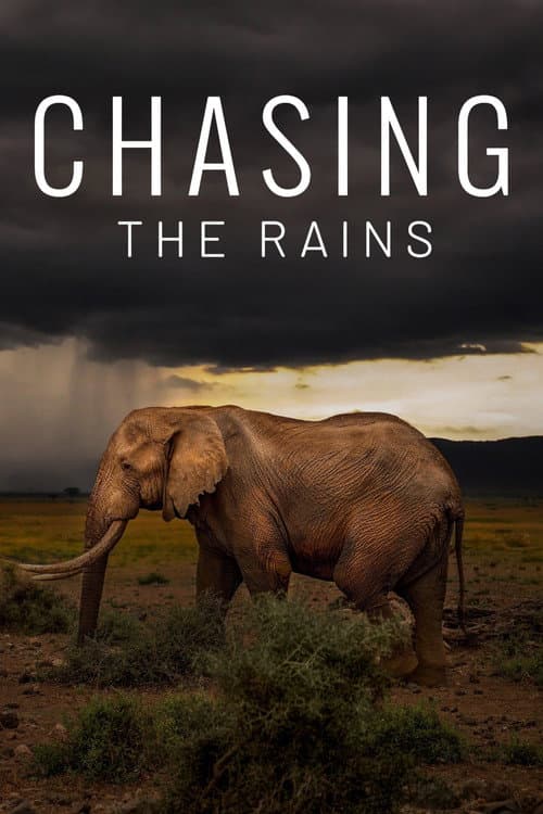 Chasing the Rains Season 1 poster