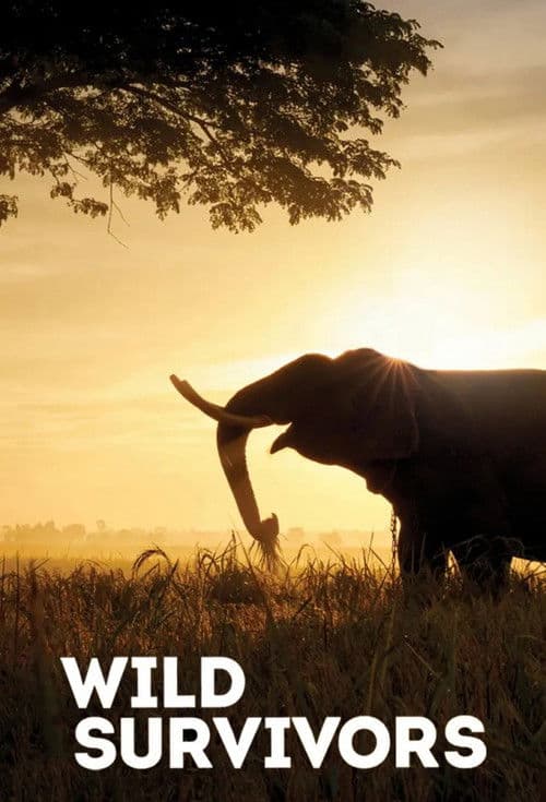 Wild Survivors Season 1 poster
