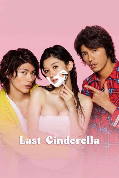 The Last Cinderella Season 1 poster