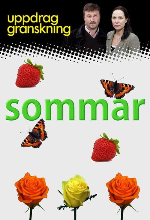 Uppdrag granskning sommar Season 2012 poster