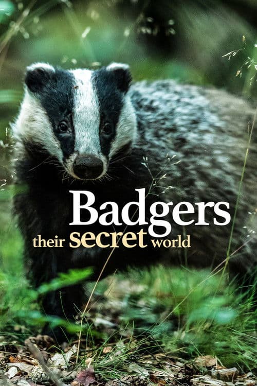 Badgers: Their Secret World Miniseries poster