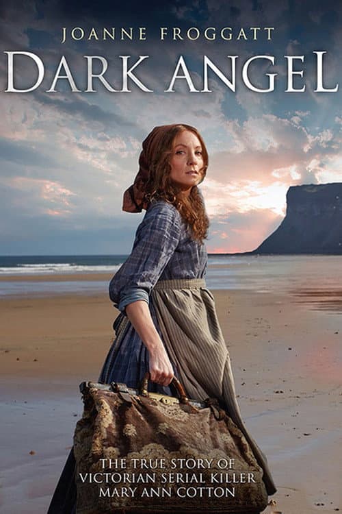 Dark Angel Series 1 poster