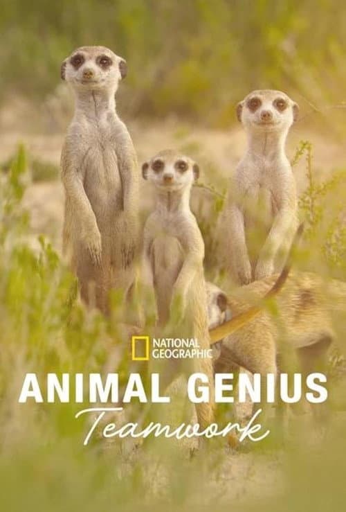Animal Genius Season 1 poster