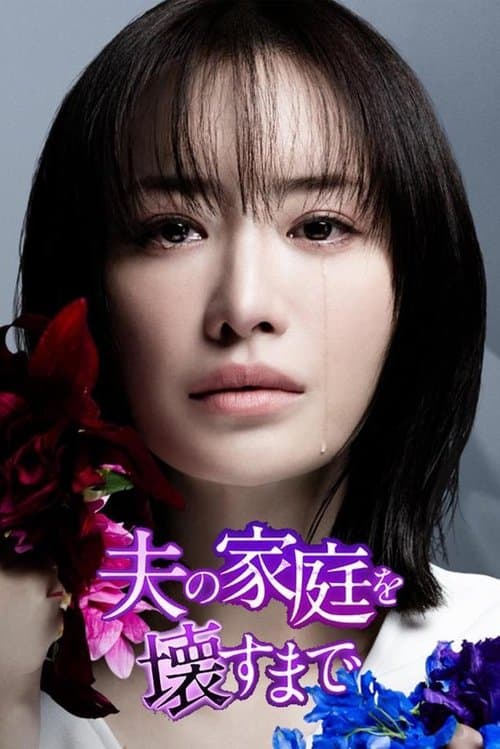 Until I Destroyed My Husband's Other Family Season 1 poster