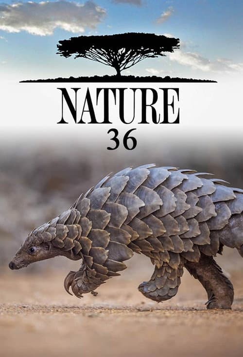 Nature Season 36 poster