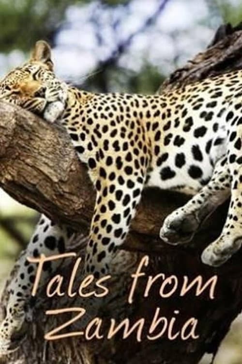 Tales from Zambia Season 2 poster