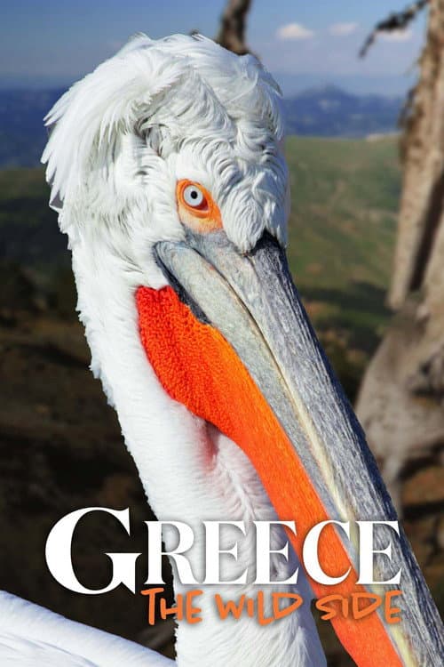 Greece - The Wild Side Season 1 poster