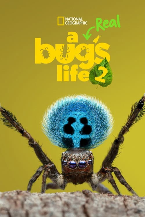 A Real Bug's Life Season 2 poster