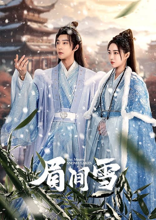 The Missing Snowflakes Season 1 poster