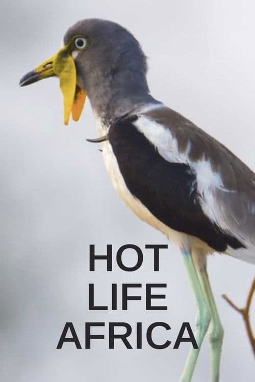 Hot Life Africa Season 1 poster