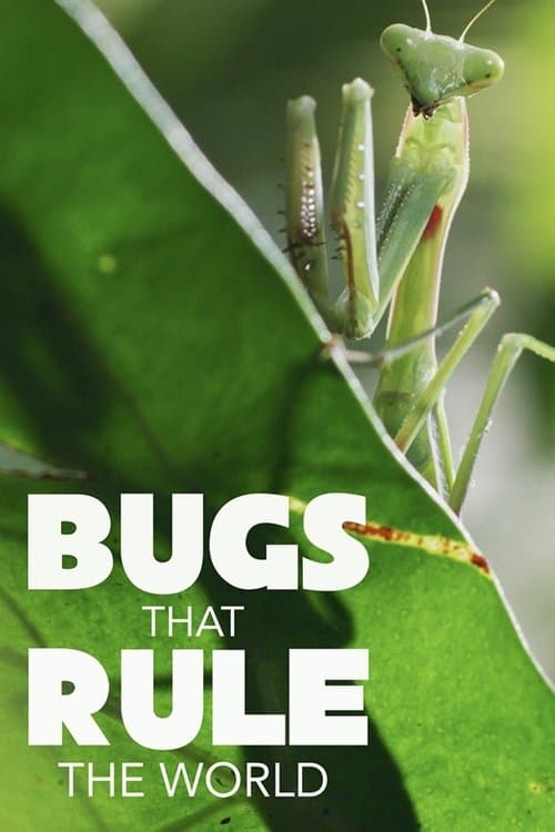 Bugs That Rule the World Season 1 poster