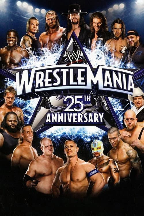 WWE Pay Per View Season 2009 poster