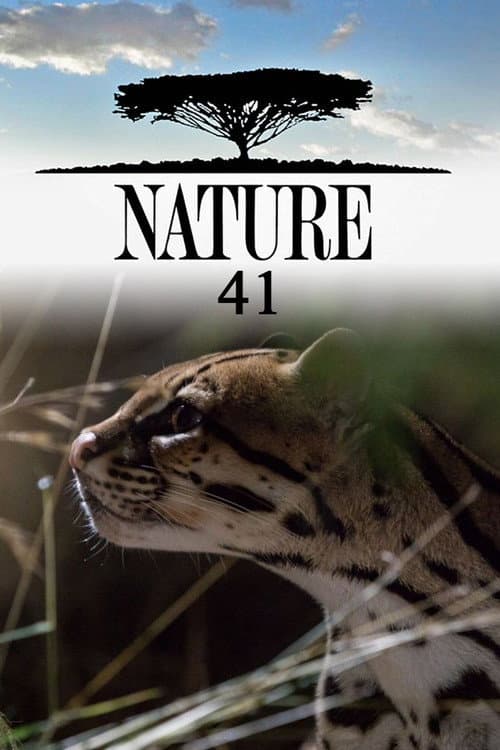 Nature Season 41 poster