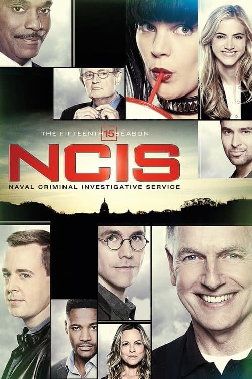 NCIS Season 15 poster
