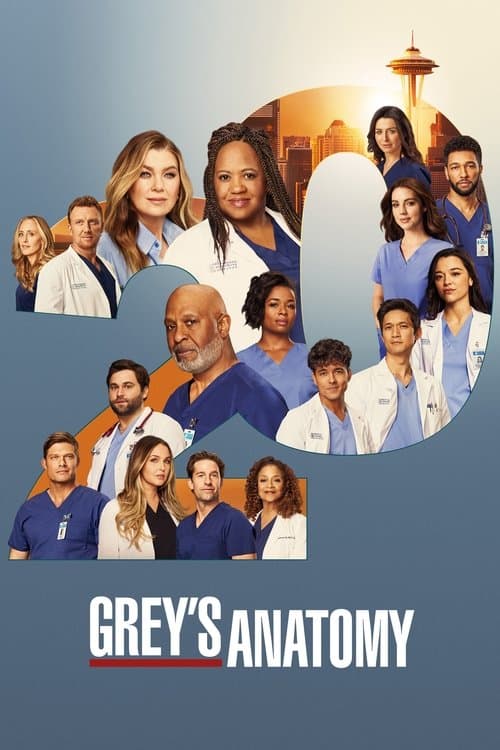 Grey's Anatomy Season 20 poster