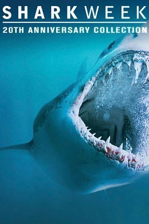 Shark Week 2007 poster