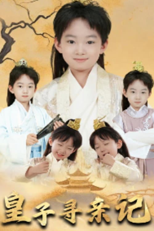 皇子寻亲记 Season 1 poster