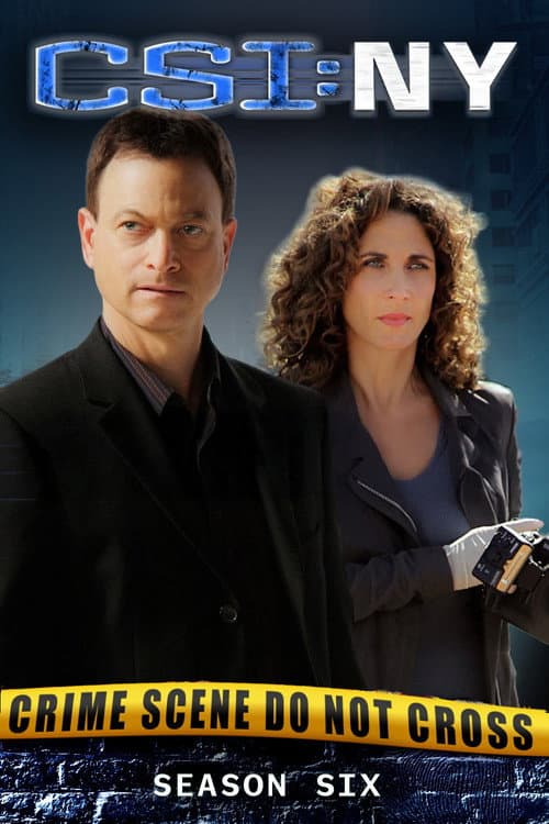 CSI: NY Season 6 poster