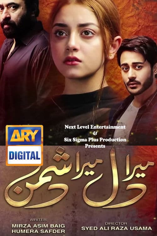 Mera Dil Mera Dushman Season 1 poster