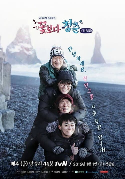 Youth Over Flowers Iceland poster