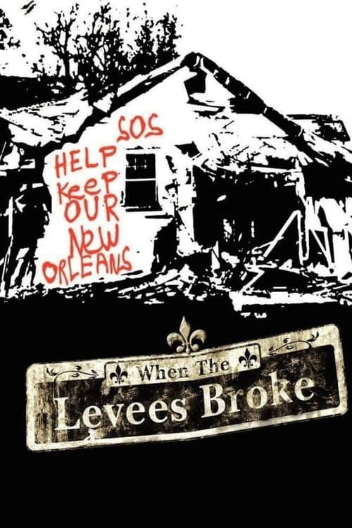When the Levees Broke: A Requiem in Four Acts Season 1 poster