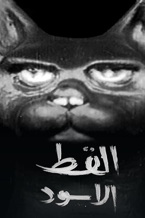 The Black Cat Season 1 poster