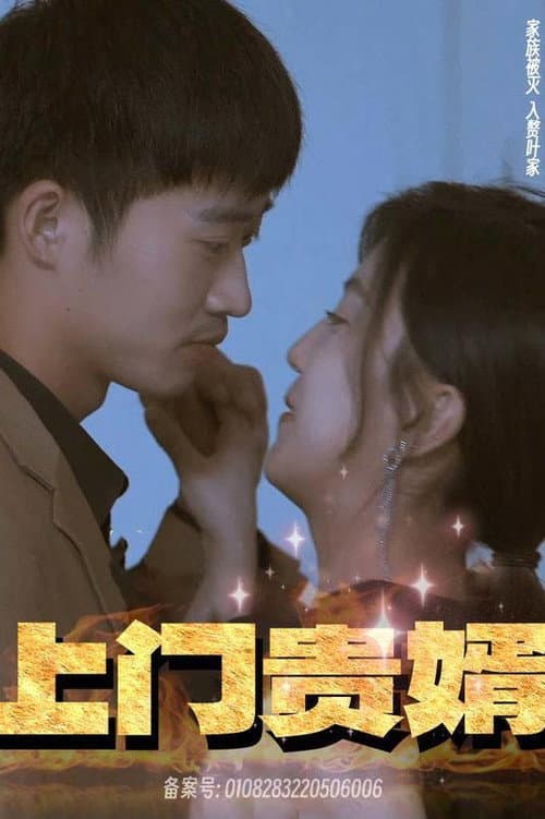 上门贵婿 Season 1 poster
